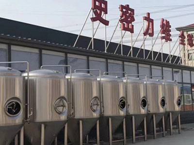 郸城精酿啤酒设备厂—如何判断精酿啤酒设备的密封件需要更换？