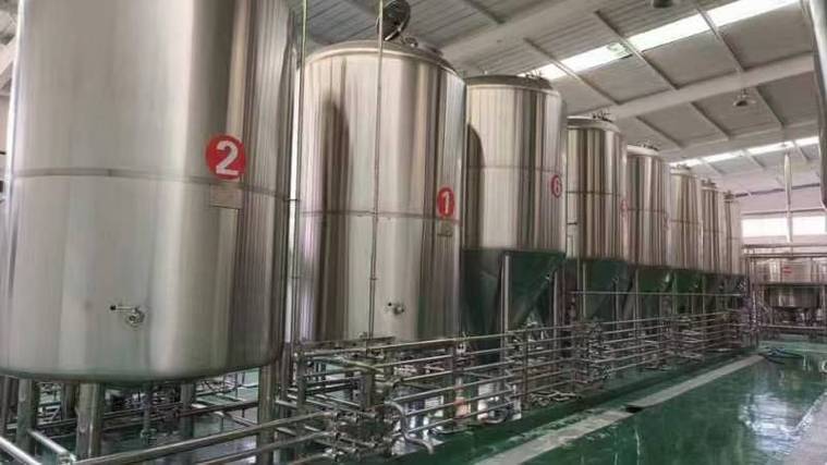 郸城日产10吨精酿啤酒设备多少钱？2026年全套报价帮你算明白